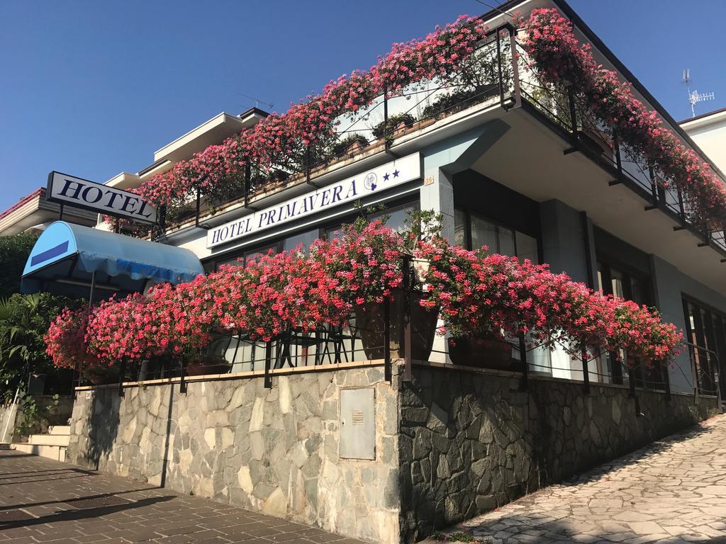 Hotel Primavera Дезенцано-дель-Гарда Екстер'єр фото